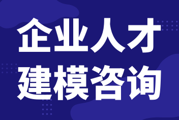 人才咨询《人才建模咨询》